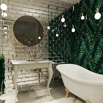 Jungle Bold Jungle Bold