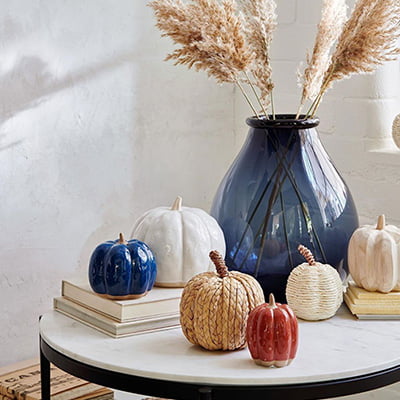 Display Mini Pumpkins Display Mini Pumpkins