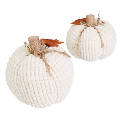 Cutest White Textured Fall Pumpkins Cutest White Textured Fall Pumpkins