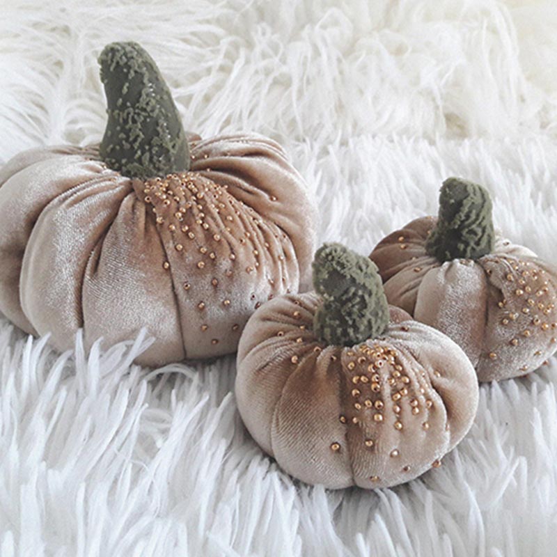 Velvet Pumpkin With A Touch Of Elegance