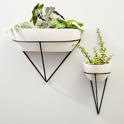 west elm iris wall planter west elm iris wall planter