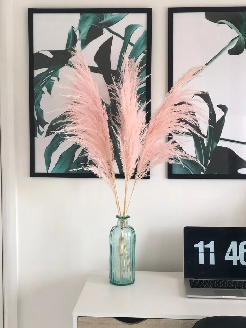 Fluffy Light Pink Pampas Grass 