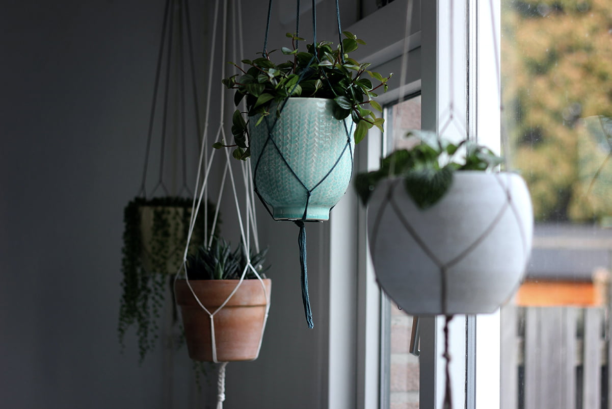 The Best Hanging Plant Stands for Every Space in Your Home