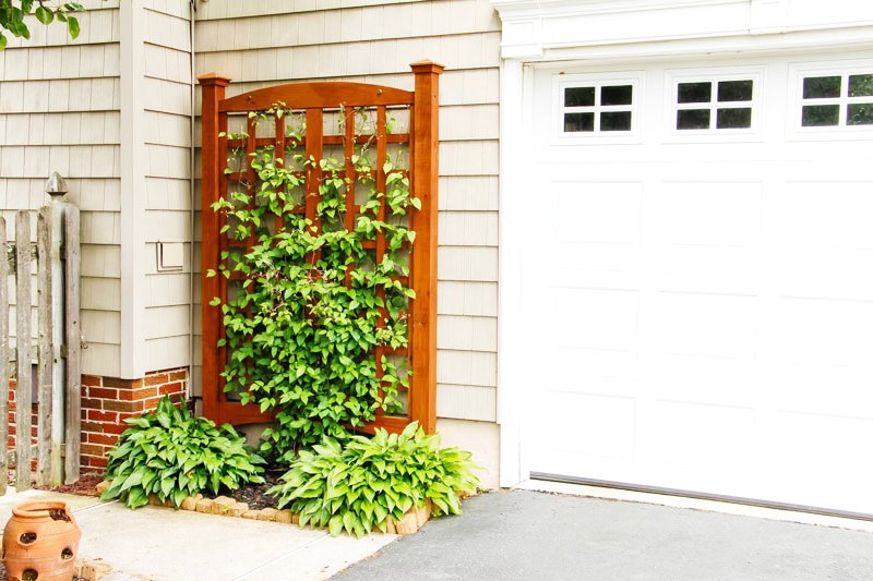 diy trellises