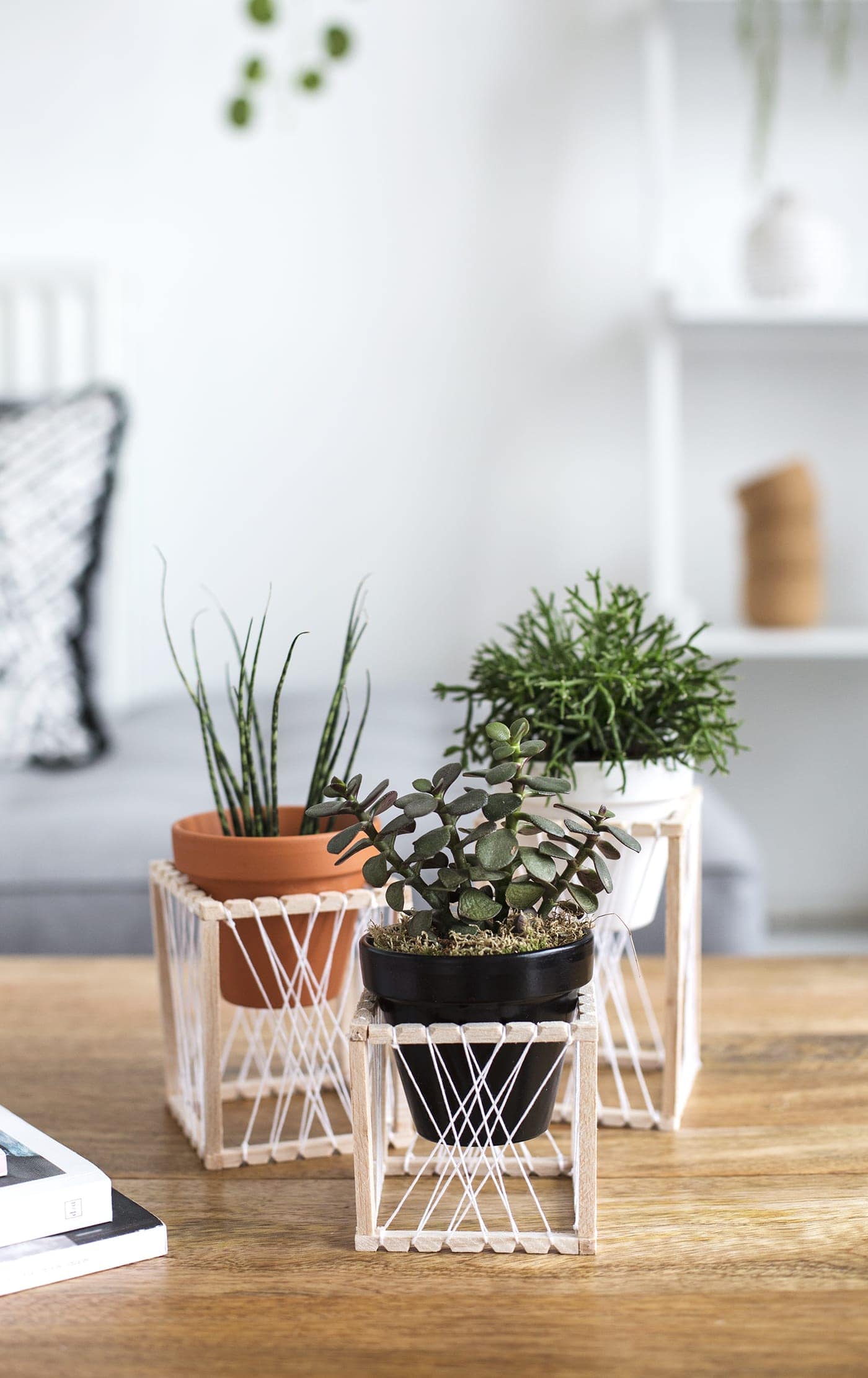 DIY-decorative-plant-stands