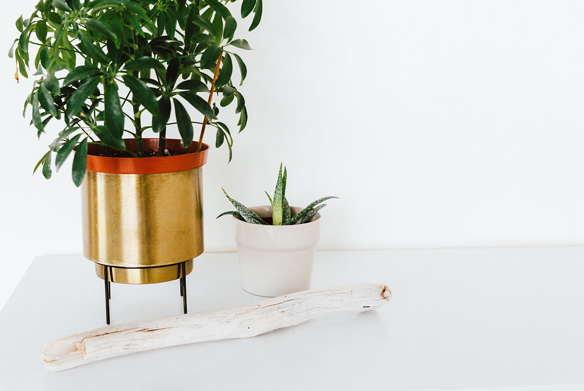 planter with stand