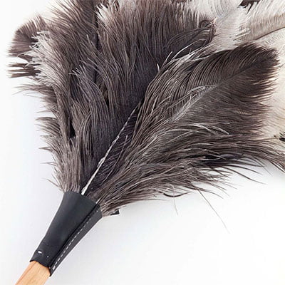 Andree Jardin Traditional Feather Duster