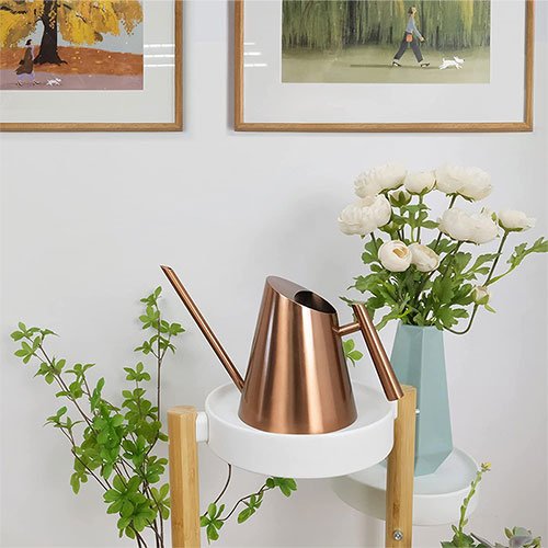 Cesun Indoor Metal Watering Can with Long Spout