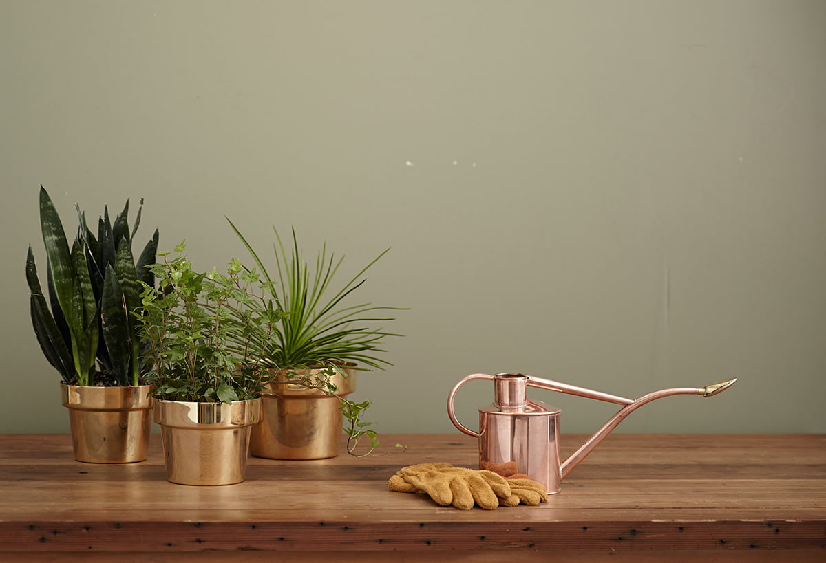 Best Watering Can