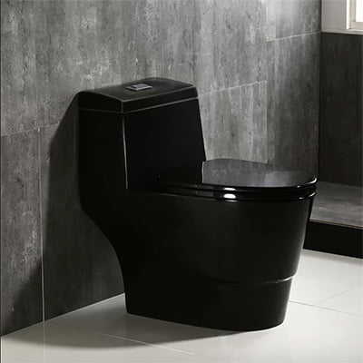 WoodBridge Water-Efficient One-Piece Black Toilet