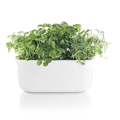 Eva Solo Self-Watering Herb Organizer Eva Solo Self-Watering Herb Organizer