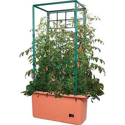 Hydrofarm Tomato Garden Grow System with Trellis and Self-Watering Reservoir