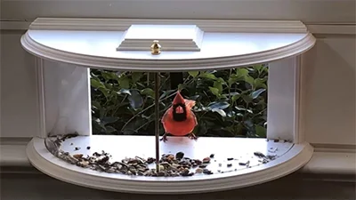 Arlmont & Co. Krick Window Bird Feeder Arlmont & Co. Krick Window Bird Feeder