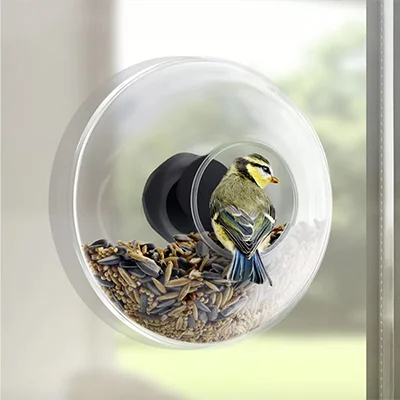 Ivy Bronx Partington Window Decorative Bird Feeder Ivy Bronx Partington Window Decorative Bird Feeder