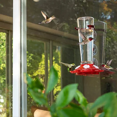 Nature Anywhere Window Hummingbird Feeder Nature Anywhere Window Hummingbird Feeder