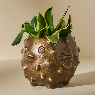Anthropologie Blowfish Garden Pot