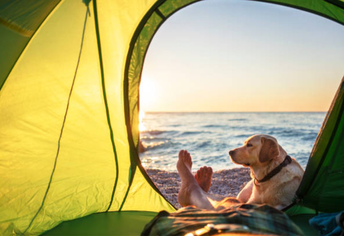 beach tent