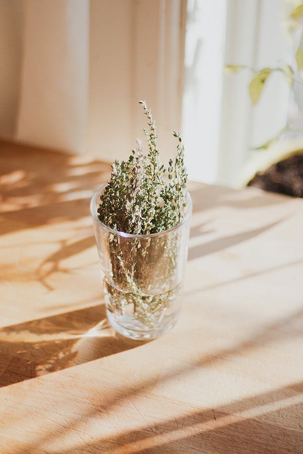 Lemon Thyme in a glass with water