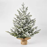 Wondershop Balsam Fir Flocked Mini Christmas Tree thumbnail