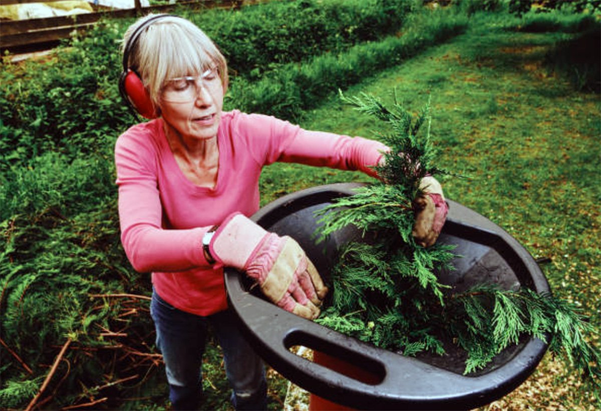 leaf shredder