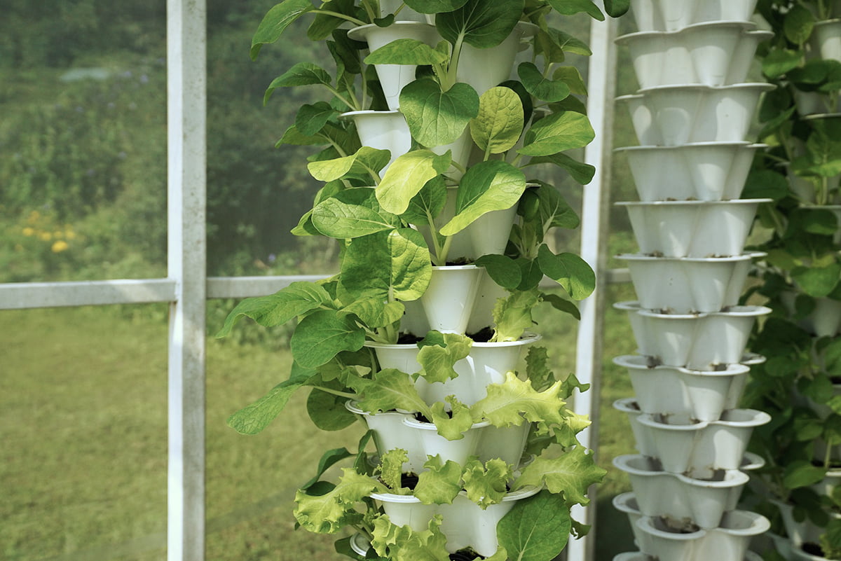 Garden tower vertical farming