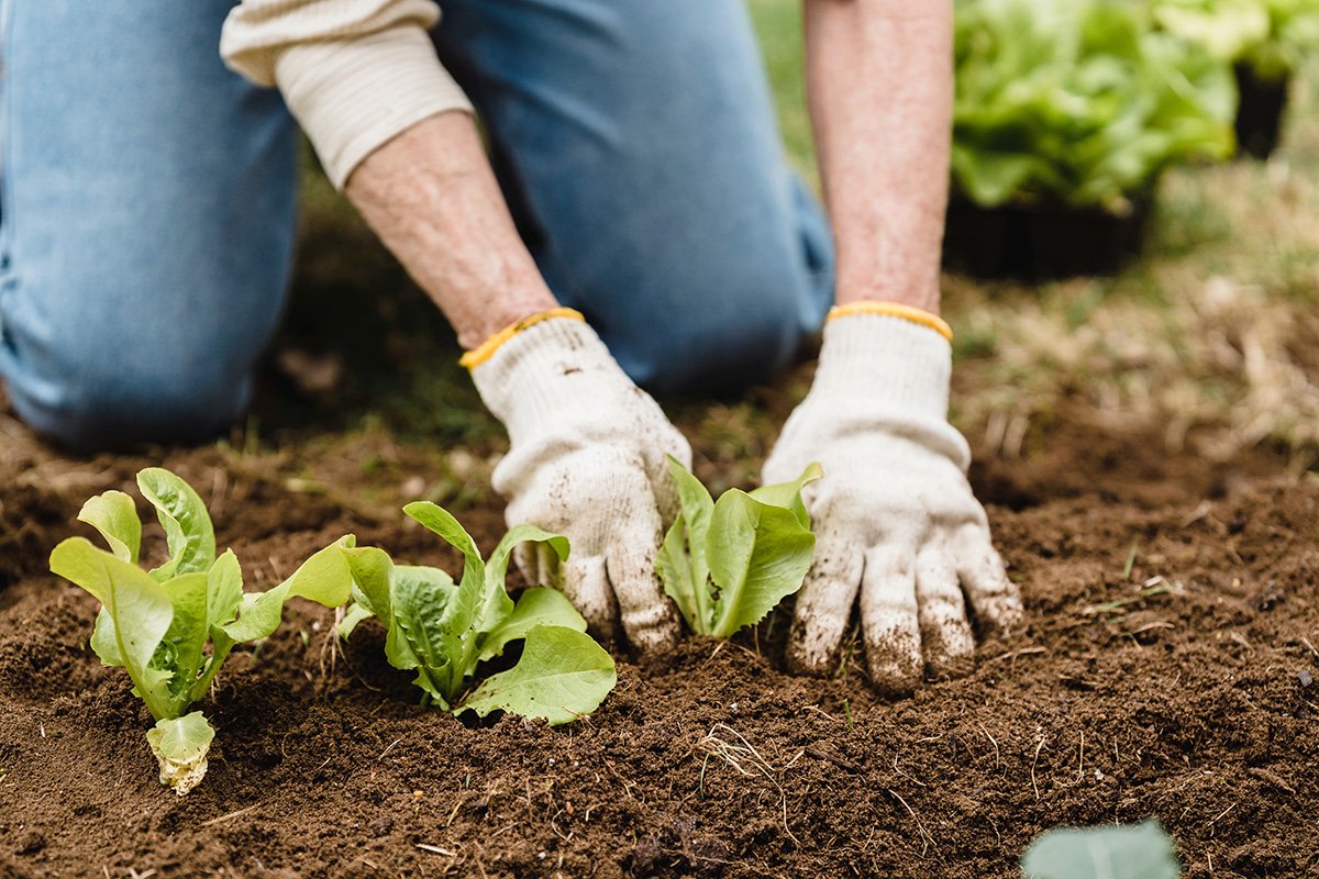 11 Genius Hacks To Improve Garden Soil For A Thriving Garden