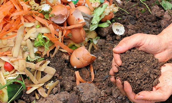 Organic Matters To Add To Your Garden Soil