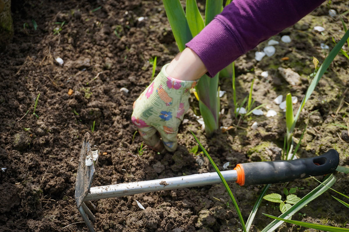 Weeding 101: A Beginner’s Guide To The Weeding Tools For The Job