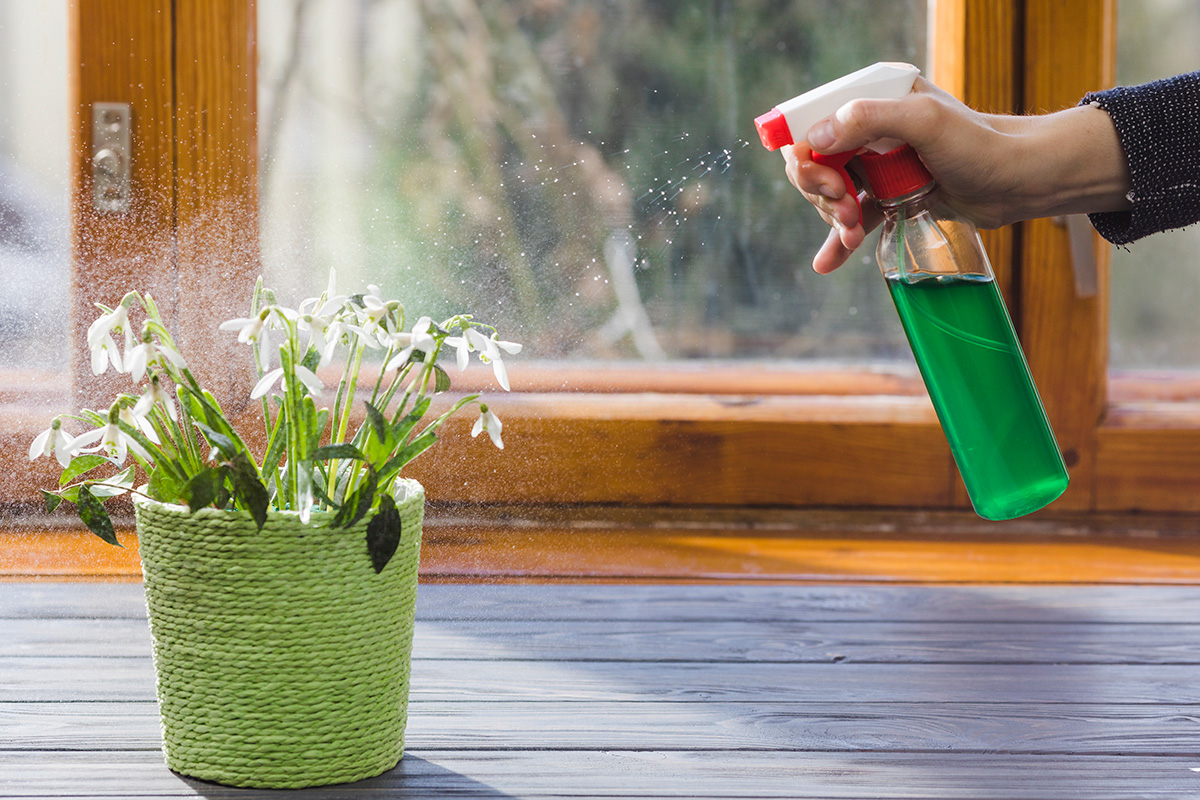 What Is Insecticidal Soap? A Guide To Using Insecticidal Soap On Plants