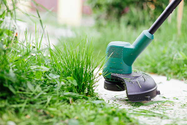 Trimming lawn