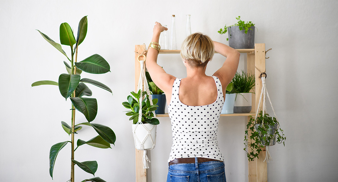 Woman Arranging Plants In Living Room